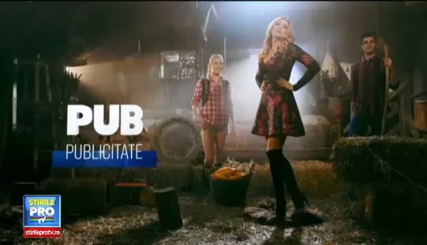 O romanca a vrut sa isi cumpere un caniș de pe internet. Ce a patit insa cand s-a intalnit cu proprietarul cainelui