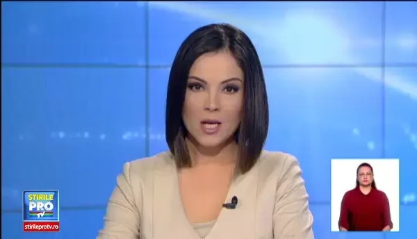 Doi pui de urs, cautati de mai multe echipe de interventie in Sibiu, dupa ce au fost vazuti de localnici pe strazi