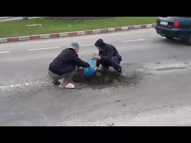 Probabil clipul anului pe sosele din Romania. Ce planteaza un grup de tineri intr-o groapa de 1,75m de pe DN1