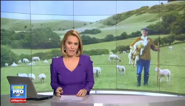 Unde se gaseste cea mai ieftina carne de miel, cu trei zile inainte de Pasti. Stanele ofera reduceri mari si carne proaspata