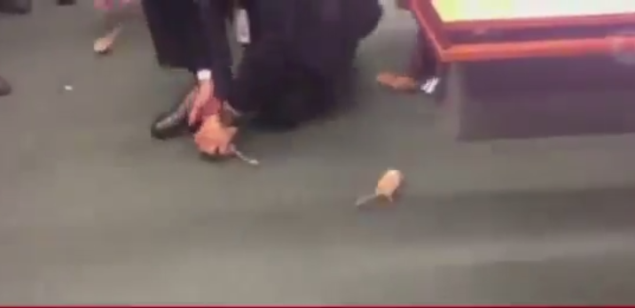 O audiere parlamentara, din Brazilia, privind scandalul de coruptie Petrobras, perturbata de soareci