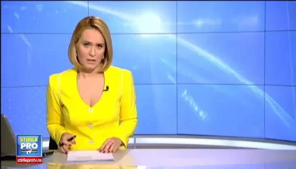 Copos si-a cumparat tot tirajul cartii, nu-l cunoaste pe autorul prefatei si neaga ca a plagiat. Primeste insa o provocare