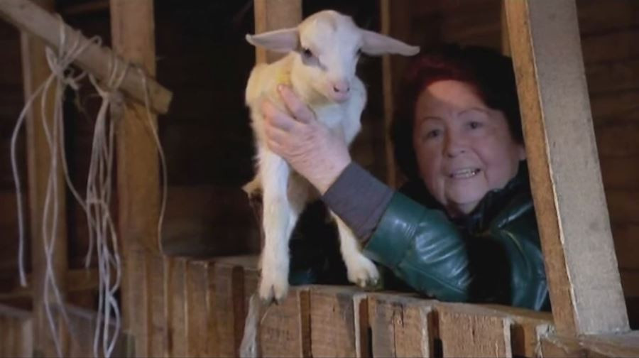 Efectul interzicerii importurilor in Rusia. Populatia s-a apucat de agricultura si se declara mai multumita decat inainte