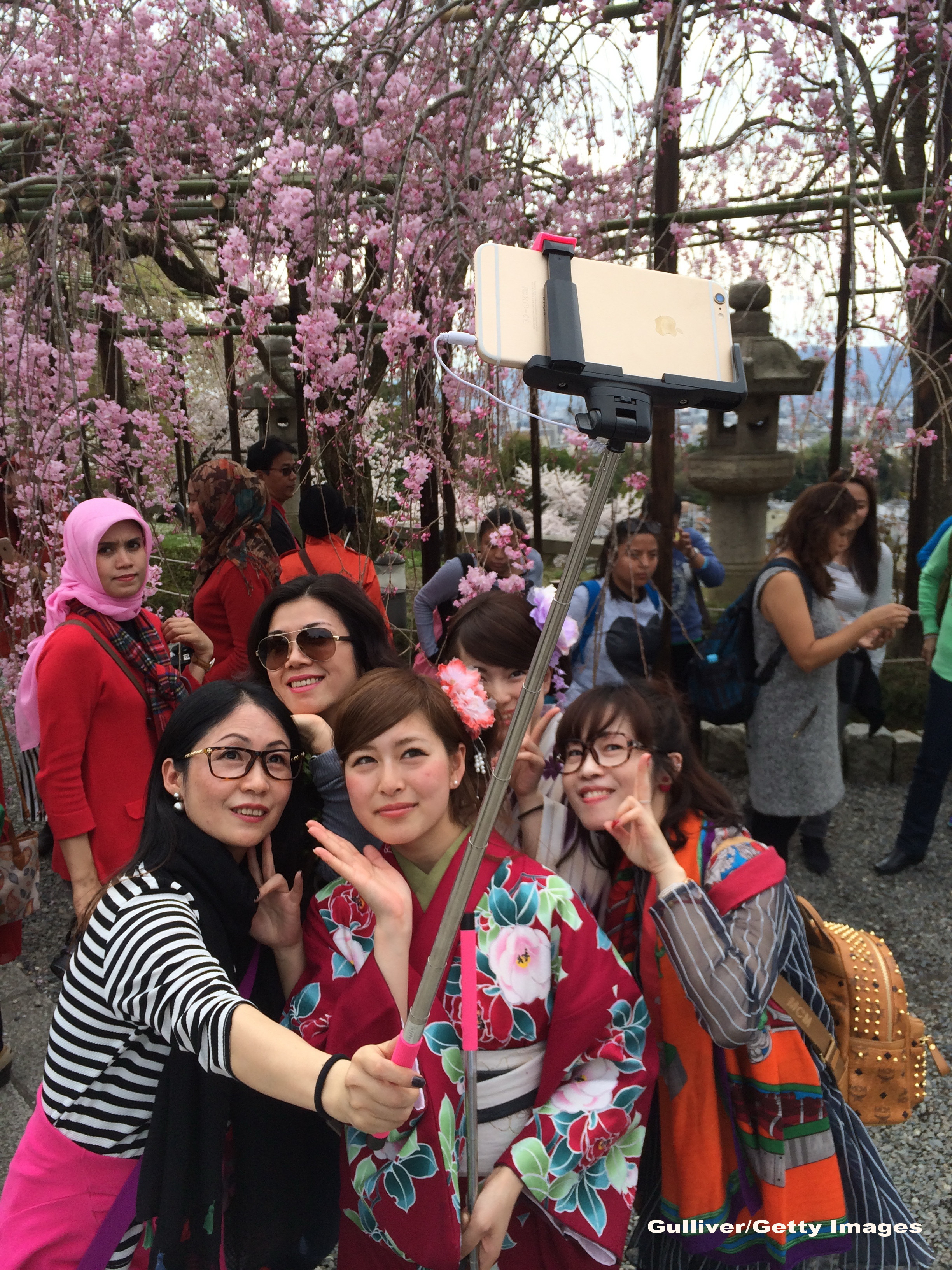 Ciresi infloriti in Japonia