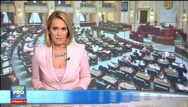 Contradictii intre Senat si CCR in cazul imunitatii lui Dan Sova. Cerintele lui Tariceanu pentru judecatori