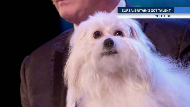 Un concurent si-a adus pe scena "cainele vorbitor" la Britanicii au Talent. Cum a fost obtinuta iluzia