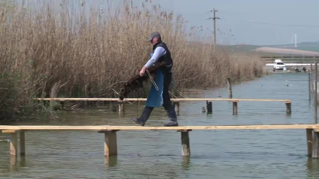 Una dintre cele mai spectaculoase zone din Delta, repopulata cu peste. Cum spera autoritatile sa-i aduca acasa pe pescari