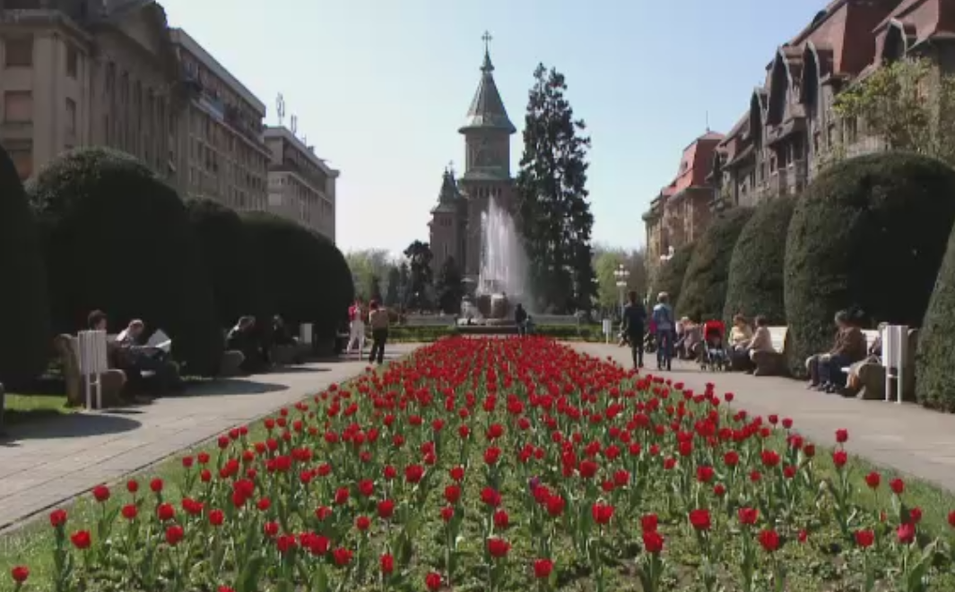 Pasiunea pentru flori, transformata intr-o afacere extrem de profitabila pentru unii romani: "E o activitate nobila"