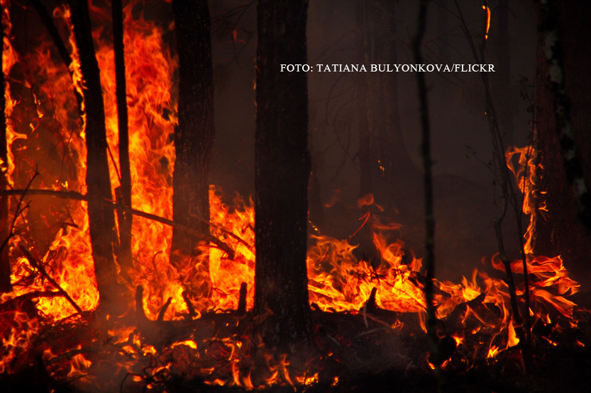 Incendiile uriase din Rusia au consecinte neasteptate in America. Ce s-a intamplat in Seattle din cauza curentilor de aer