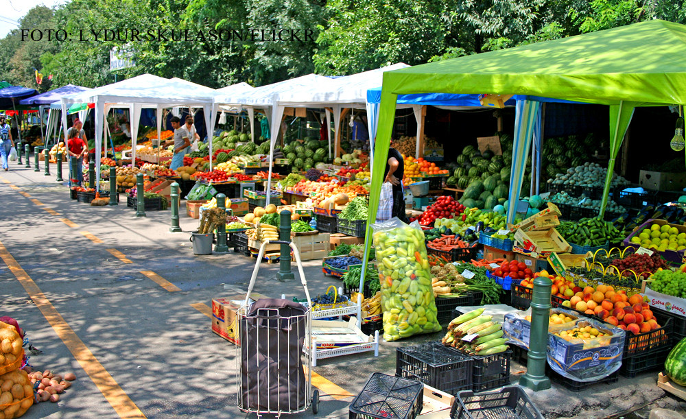 Fructul care isi va dubla pretul anul acesta din cauza vremii. Din exportul sau, Romania castiga sute de mii de euro