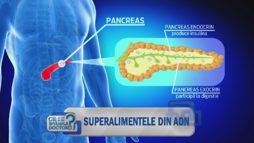 Cum ar trebui sa arate cosul saptamanal de cumparaturi. Super-alimentele codate in ADN-ul uman