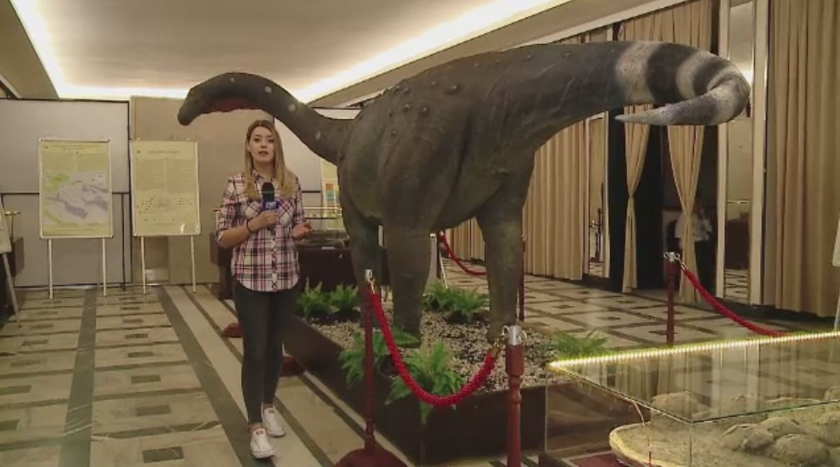 Gigantii au trait in Romania. Expozitia de dinozauri din Cluj, pentru care specialistii au muncit 15 ani
