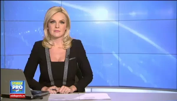 Cele mai cochete pisici se intrec la concursul