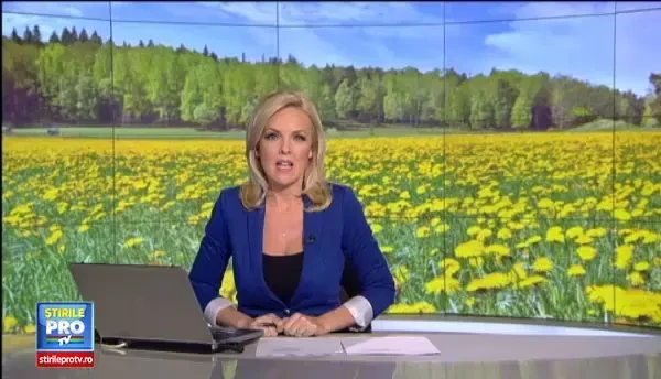 "Celebra" papadie salveaza Muntii Apuseni, o zona unde locurile de munca sunt o raritate. Cu cat se vinde o sticla de sirop