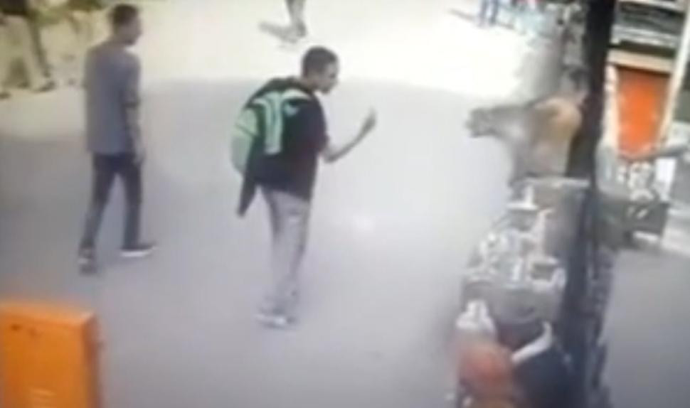 Razbunarea unei maimute din India. Ce a facut animalul dupa ce un barbat i-a aratat un semn obscen