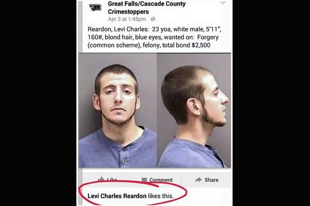 Levi Charles Reardon - Mirror