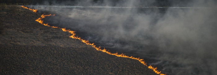 Incendiul de vegetatie de la Cernobil. Reactia autoritatilor din Romania, dupa Comitetul de Urgenta al Ministerului Mediului