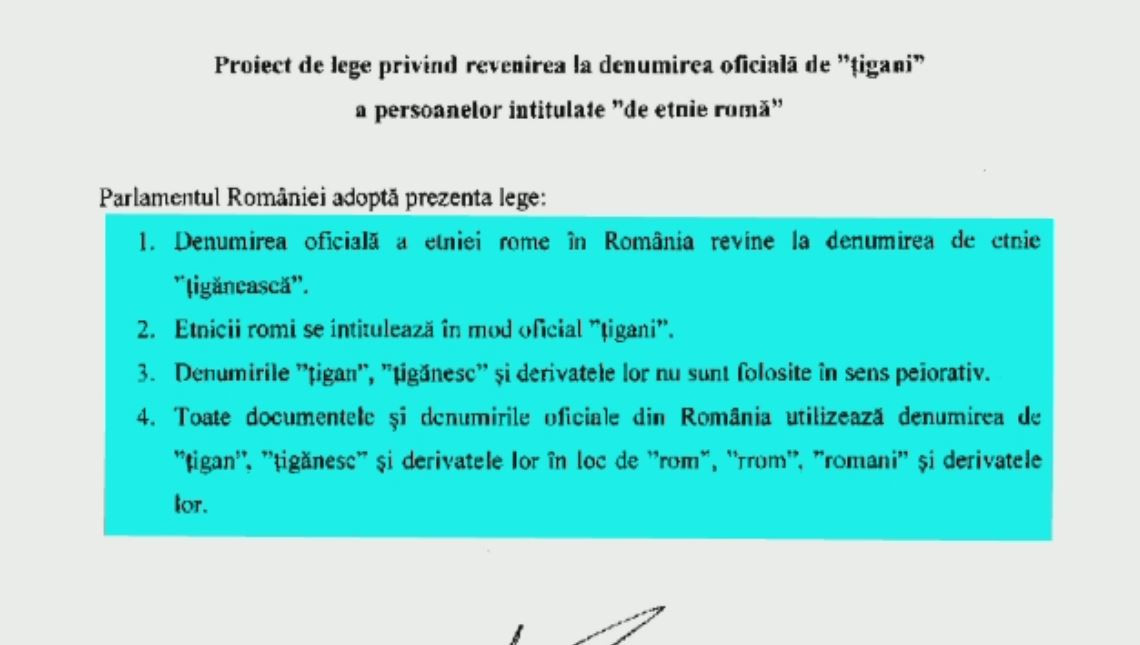 Reactia lui Madalin Voicu, dupa ce un parlamentar a propus ca romii sa se numeasca oficial "tigani": "Complexe si frustrari"