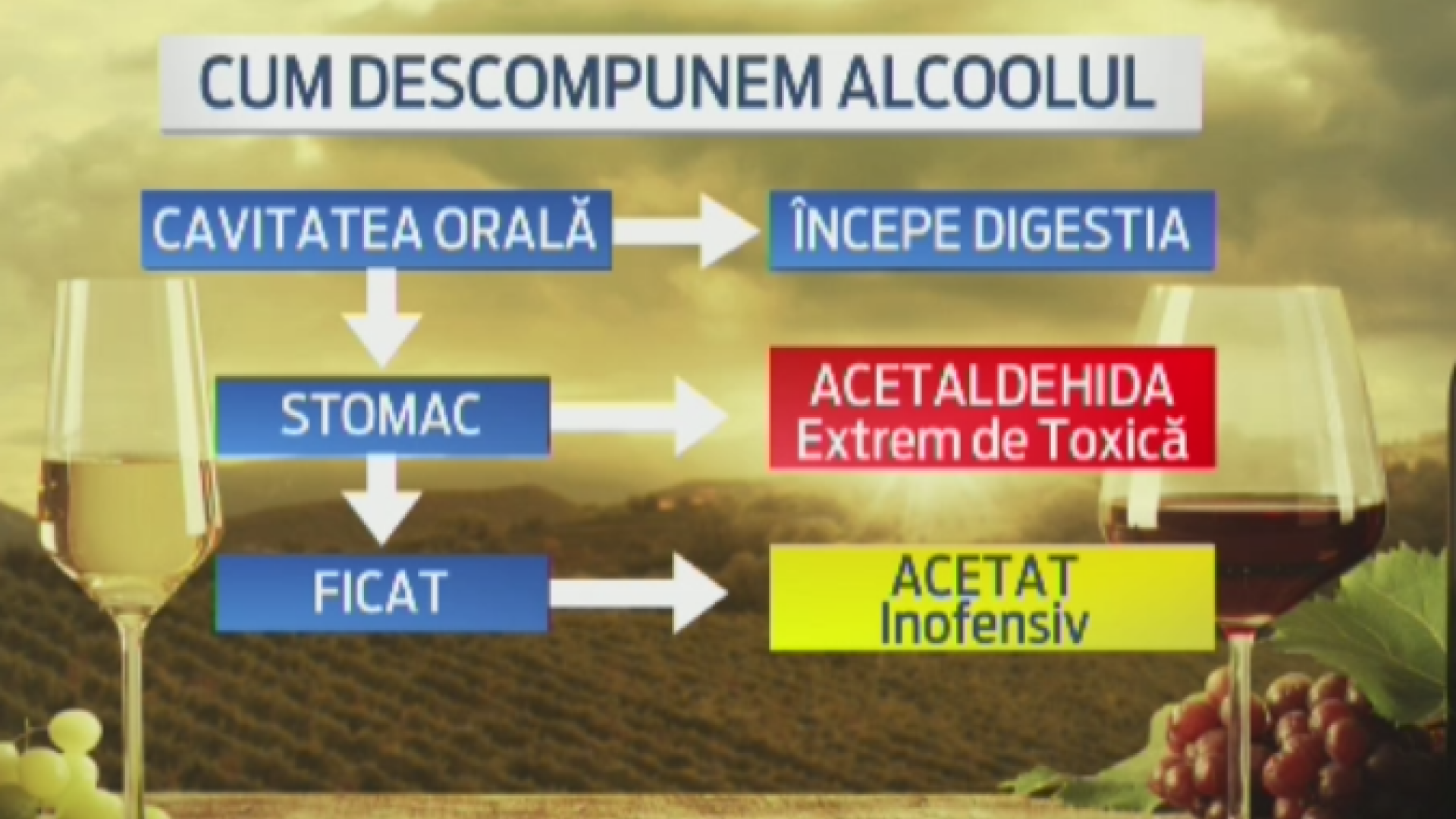 Alcool vs zahar. Specialistii explica felul in care actioneaza in organism si care da dependenta mai mare