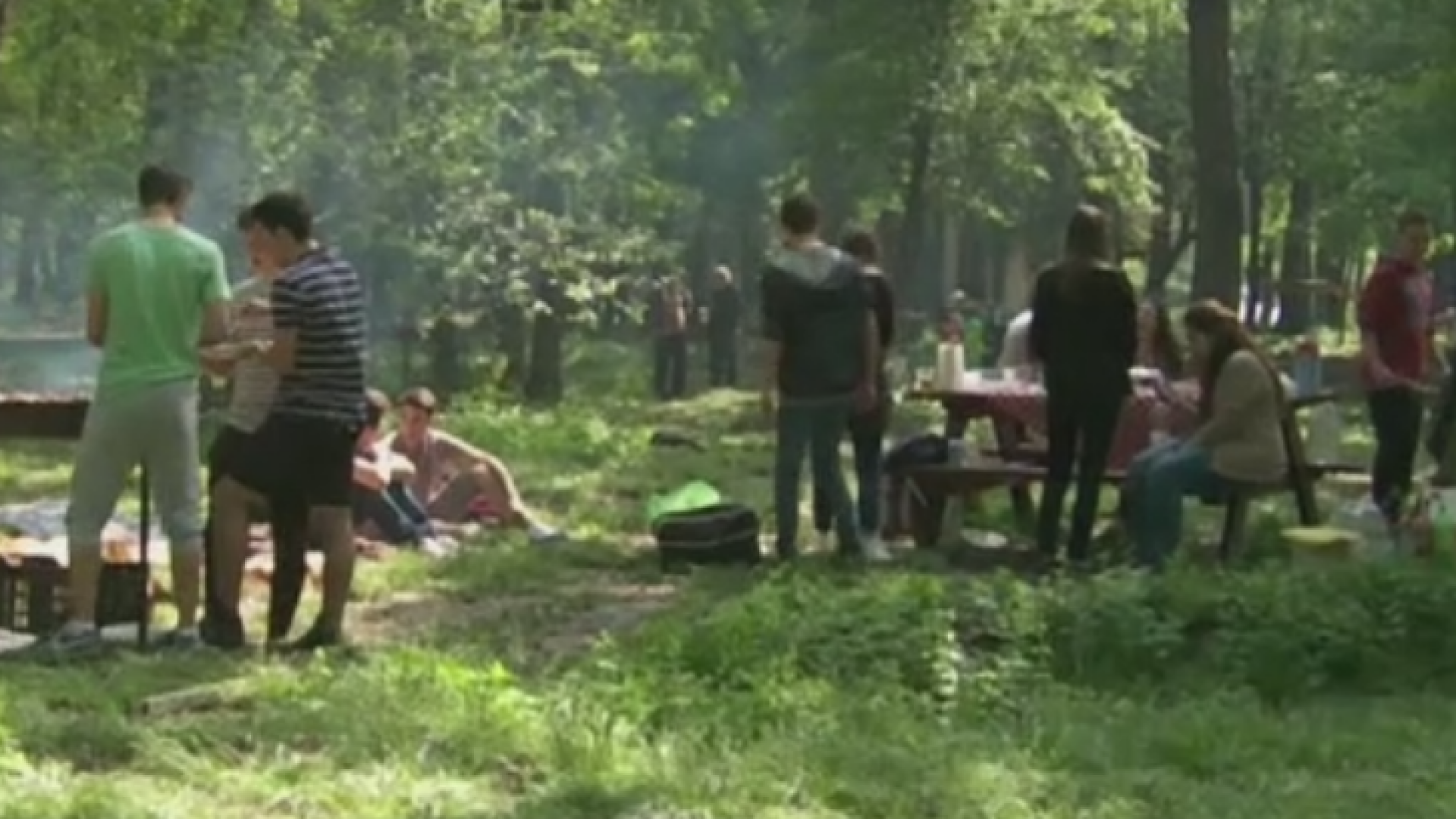 Distractie la padure de 1 Mai. Bucurestenii au format cozi la iesirile din Capitala in cautarea de spatii verzi pentru gratar