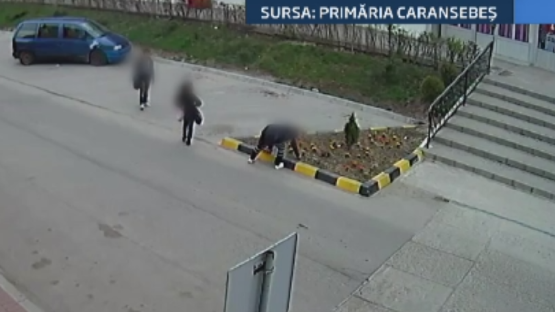 Florile cumparate cu sute de mii de lei de primarii, furate de hoti fara nicio jena. Imagini de pe camera de supraveghere