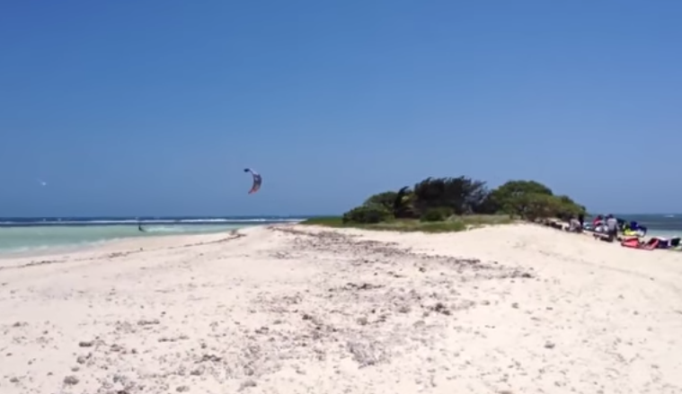 Plajele din Marea Britanie, invadate de mii de creaturi uriase. Efectul fenomenului bizar. FOTO