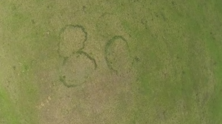 Aparitie bizara pe o pasune din Botosani. Localnicii sunt convinsi ca au fost vizitati de extraterestri