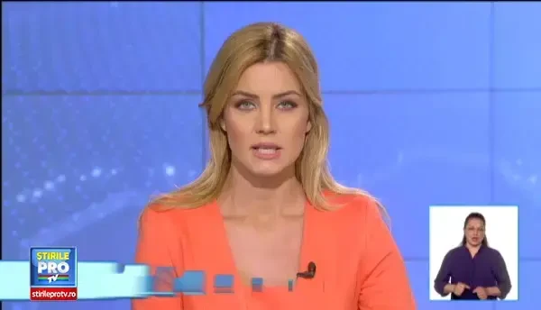 "Aglomeratie" la Curtea Suprema. Alina Bica, Dorin Cocos si Viorel Hrebenciuc ajung in fata magistratilor