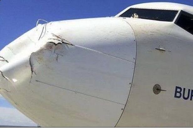 avion