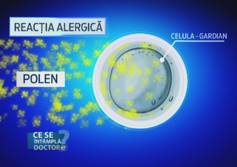 Tuse sau astm? Medicii explica diferenta si avertizeaza asupra alergiilor respiratorii