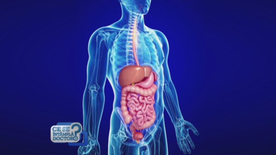 Stomacul, primul organ lovit de toxinele din alimente. Combinatiile de plante care ajuta la protejarea si tratarea acestuia