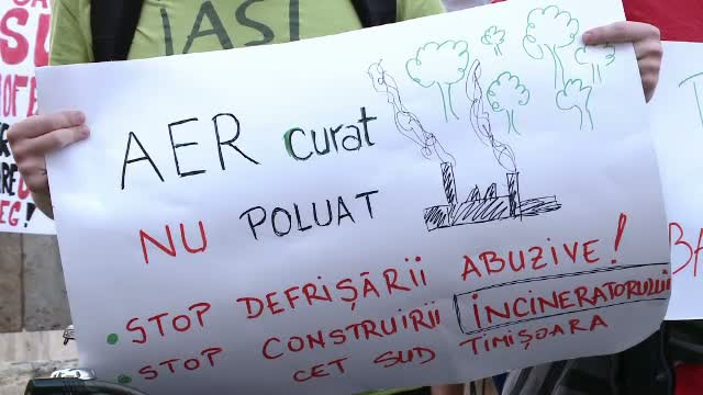 Proteste in mai multe orase mari din tara si in strainatate: Romanii cer oprirea despaduririlor abuzive. Mesajul lui Iohannis