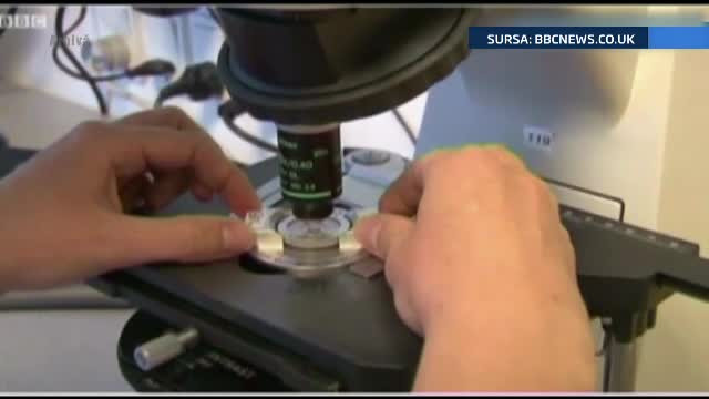 Caz neobisnuit in Marea Britanie. O femeie cere in instanta sa i se dea ovulele inghetate ale fiicei sale moarte