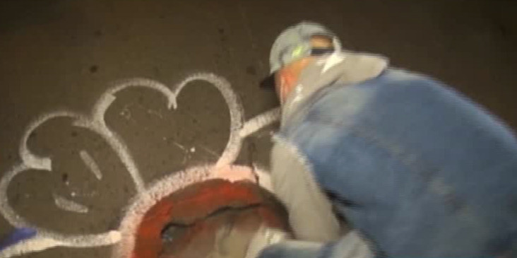 floare in jurul gropii din asfalt