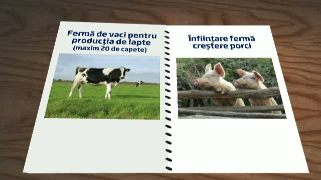 Statul sare in ajutorul romanilor care vor sa acceseze fonduri UE pentru agricultura. Proiectele care iti garanteaza reusita