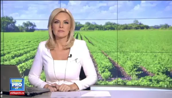 Statul sare in ajutorul romanilor care vor sa acceseze fonduri UE pentru agricultura. PROIECTELE care iti garanteaza reusita