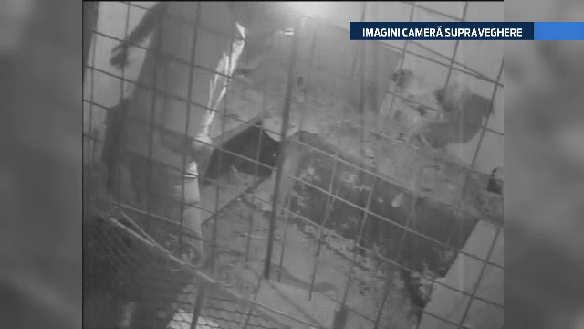 Ce a descoperit o femeie din Dambovita dupa ce a instalat camere de supraveghere in cotetul gainilor: "Nu cred!E de inchinat"