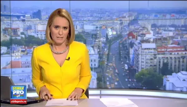 Proiectul privind parteneriatul civil, respins din nou. Remus Cernea nu renunta: