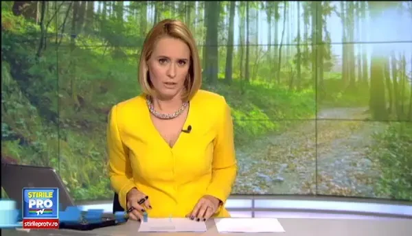 Deputatii au RESPINS cererea de reexaminare privind Codul Silvic. Ignorate, ONG-urile ameninta cu noi proteste