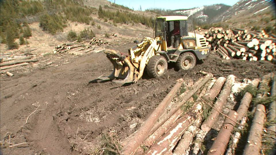 Cum functioneaza "Radarul Padurilor". Un barbat ar fi fost amendat pentru ca a sunat la 112 ca sa verifice un camion cu lemne