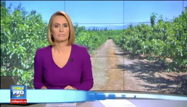 Ciresele de import, de 2 ori mai mari si de 3 ori mai scumpe decat cele romanesti. De ce lipsesc din piete fructele noastre