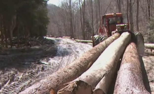 Seful Cancelariei Prezidentiale acuza "o manipulare" pe subiectul Codului Silvic. Schweighofer: "NU am amenintat Guvernul"