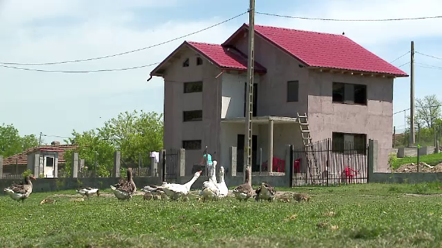 pestera constanta - stiri