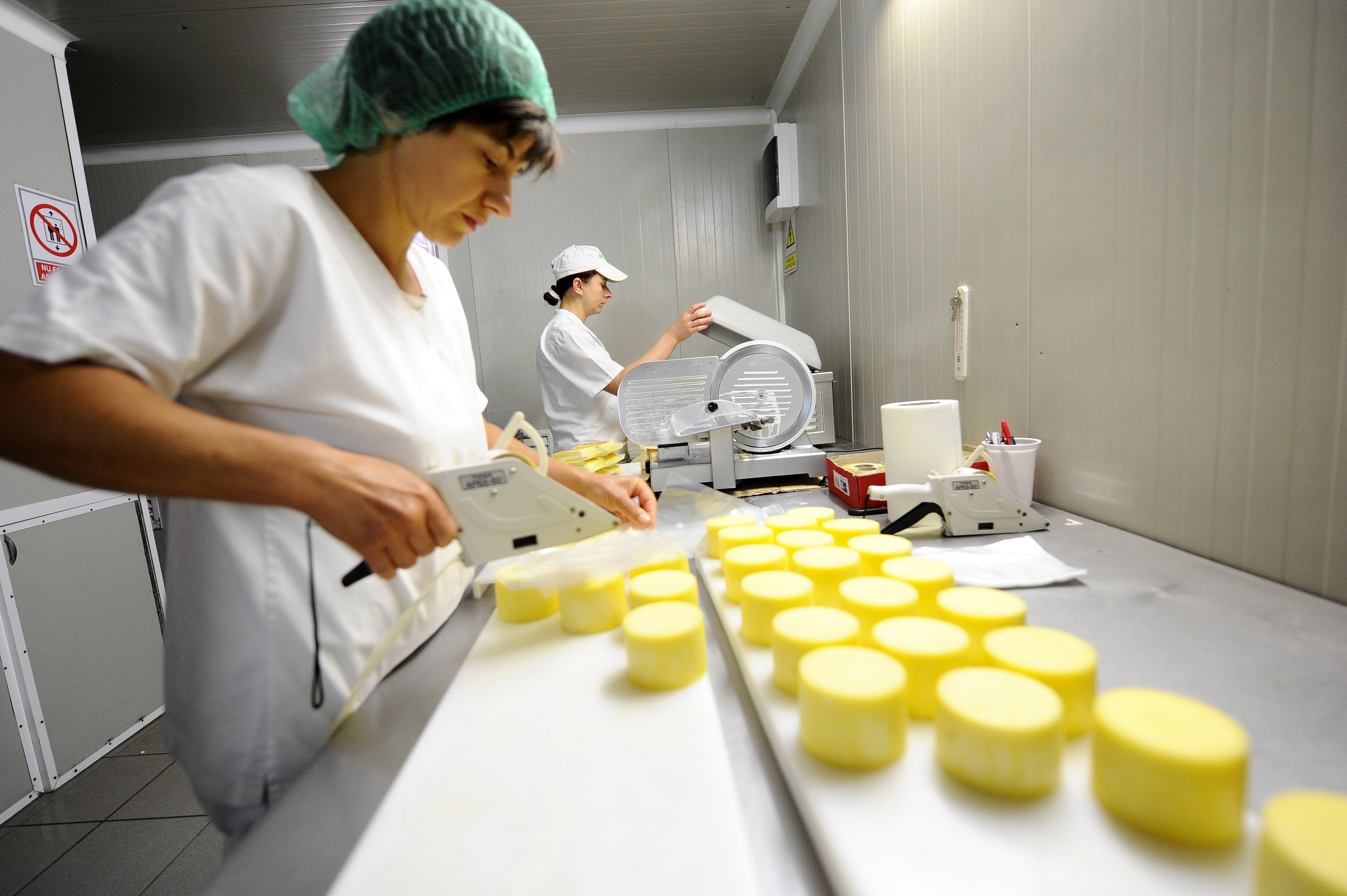 Au riscat si au castigat. Ciobanii din Sibiu care s-au asociat si au cladit o afacere de invidiat cu lactate