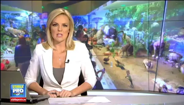 Cozi interminabile in Capitala, la NOAPTEA MUZEELOR. La Banca Nationala, vizitatorii si-au facut selfie cu lingourile de aur