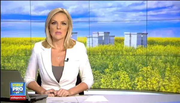 Milioane de albine au fost omorate de insecticidul imprastiat de fermieri. Pe cine dau vina apicultorii pentru dezastru