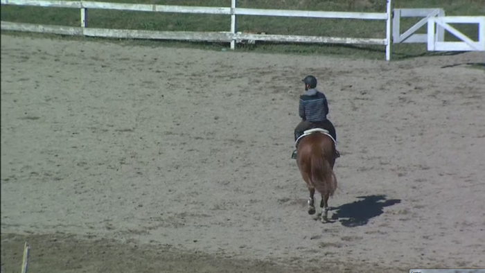 Ancheta in cazul copilului care a murit dupa ce a cazut de pe cal. Baiatul NU era supravegheat de antrenor, ci doar de mama