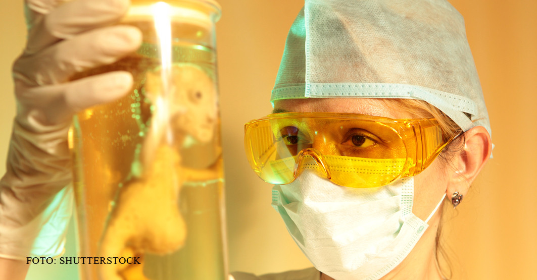 De ce era poporul roman la un pas sa DISPARA. Ardeiul iute si saramura de crap, motiv de epidemie