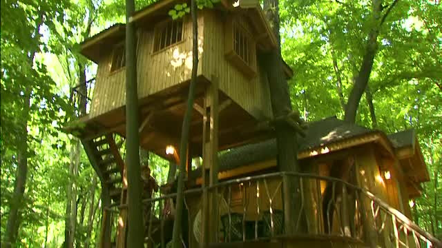 Cat te costa sa-ti petreci weekendul de Rusalii intr-o casa in copac. Solutii spectaculoase pentru cele 3 zile de vacanta