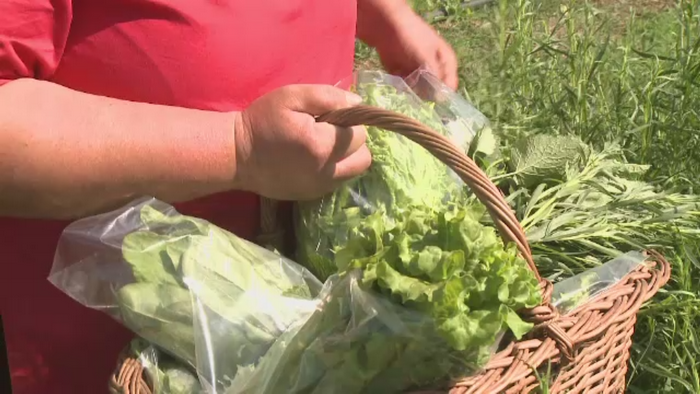 In 2015, e greu sa mai gasesti un fermier care sa nu-si fi facut site. Cati bani se castiga din comertul online cu zarzavat